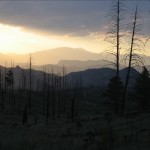 img_7236