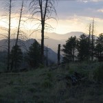 img_7240
