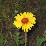 img_7262